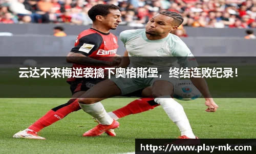mk体育官网