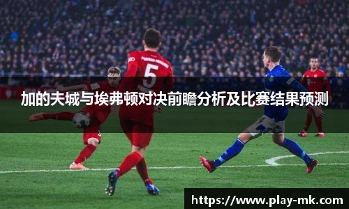 加的夫城与埃弗顿对决前瞻分析及比赛结果预测
