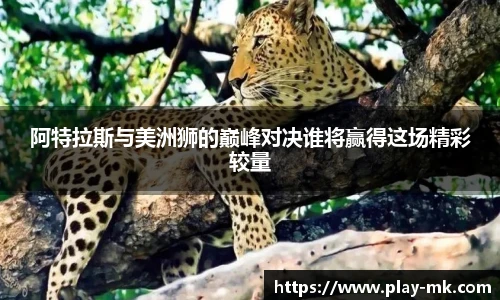 mk体育平台