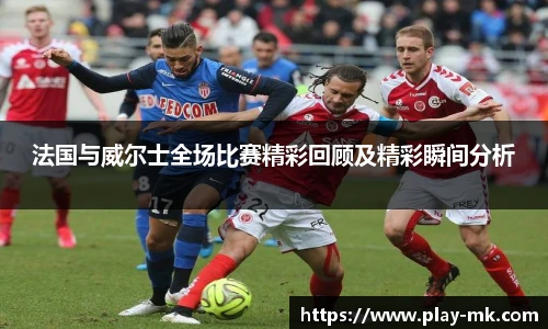 法国与威尔士全场比赛精彩回顾及精彩瞬间分析